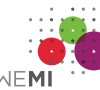 logo-wemi-colori-calvi